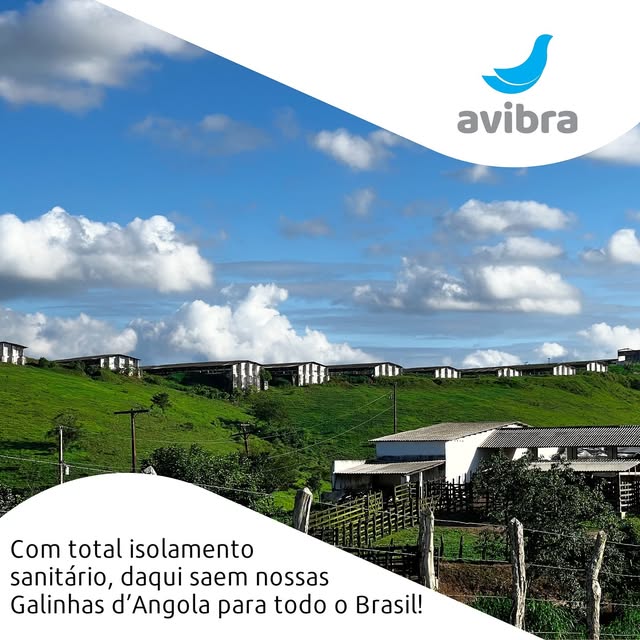 Publicação da Avibra