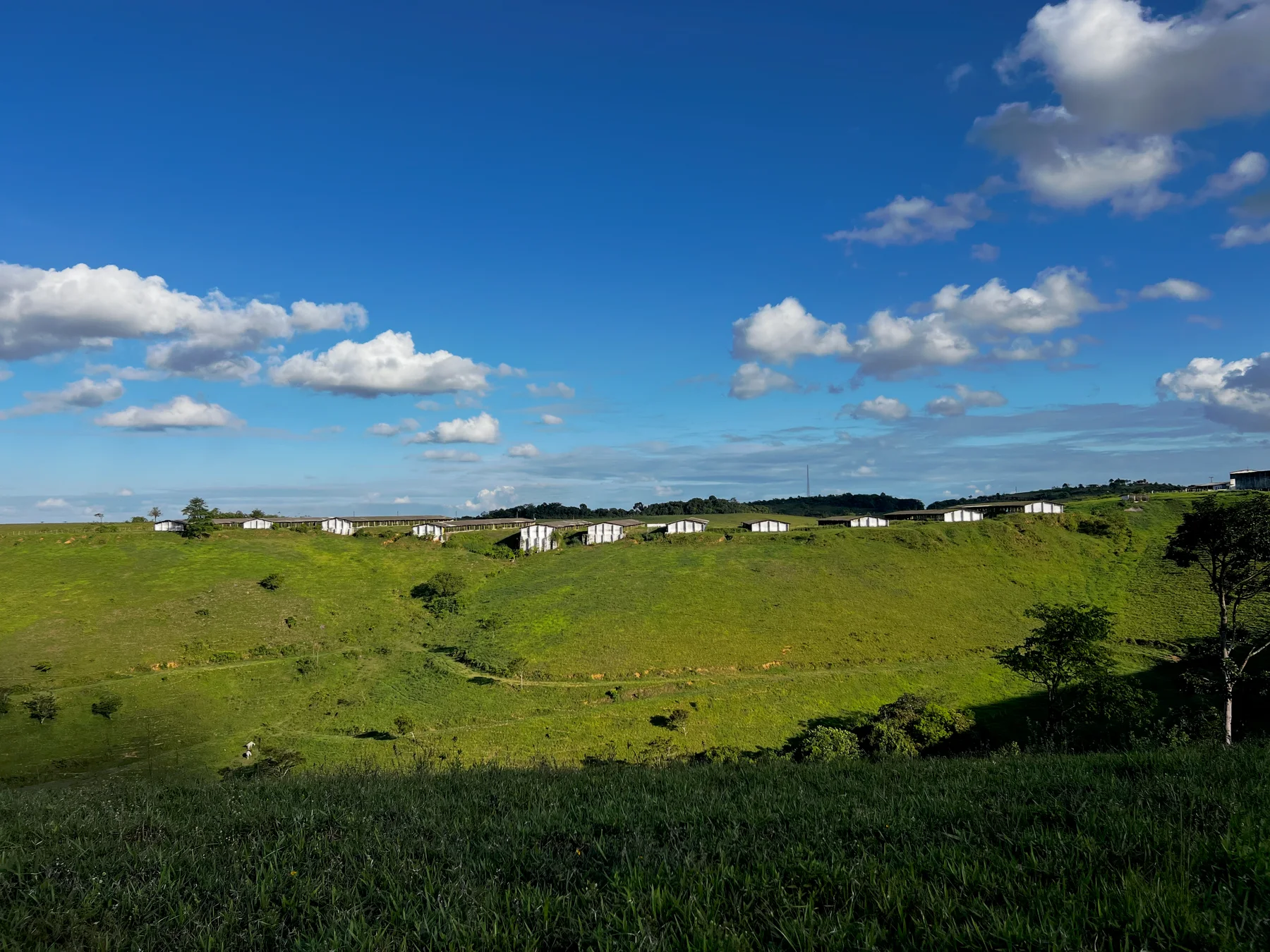 Paisagem das granjas Avibra