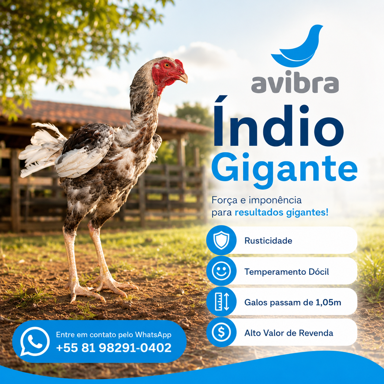 Índio Gigante