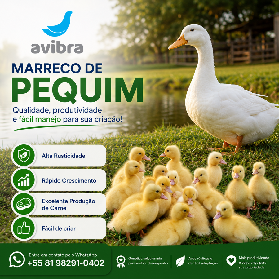 Marreco de Pequim