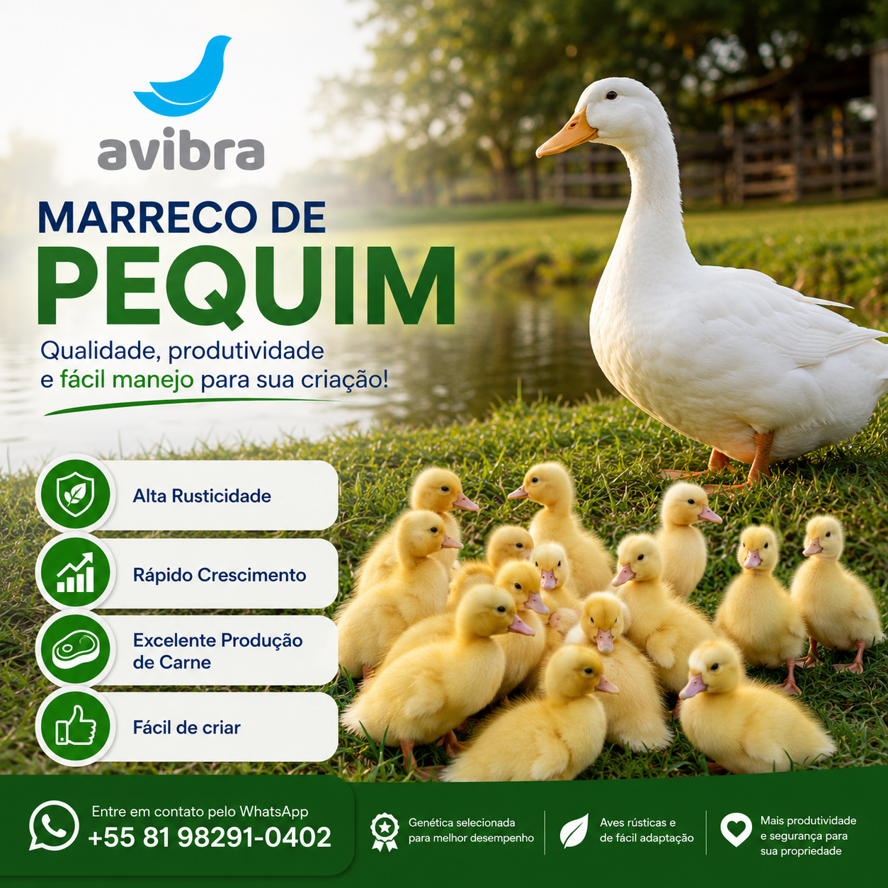 Marreco de Pequim